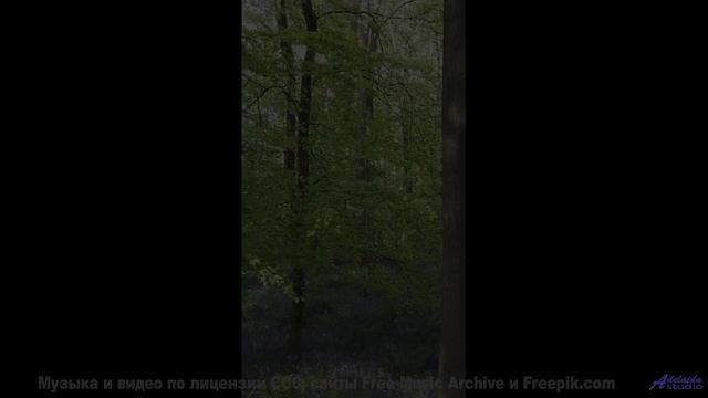 Почему ваш мозг не может обработать эти образы - 20 Minute Meditation 10 -- HoliznaCC0 -- Space - Sl