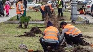 Свыше 6 млн мигрантов въехали в Россию за 2024 год