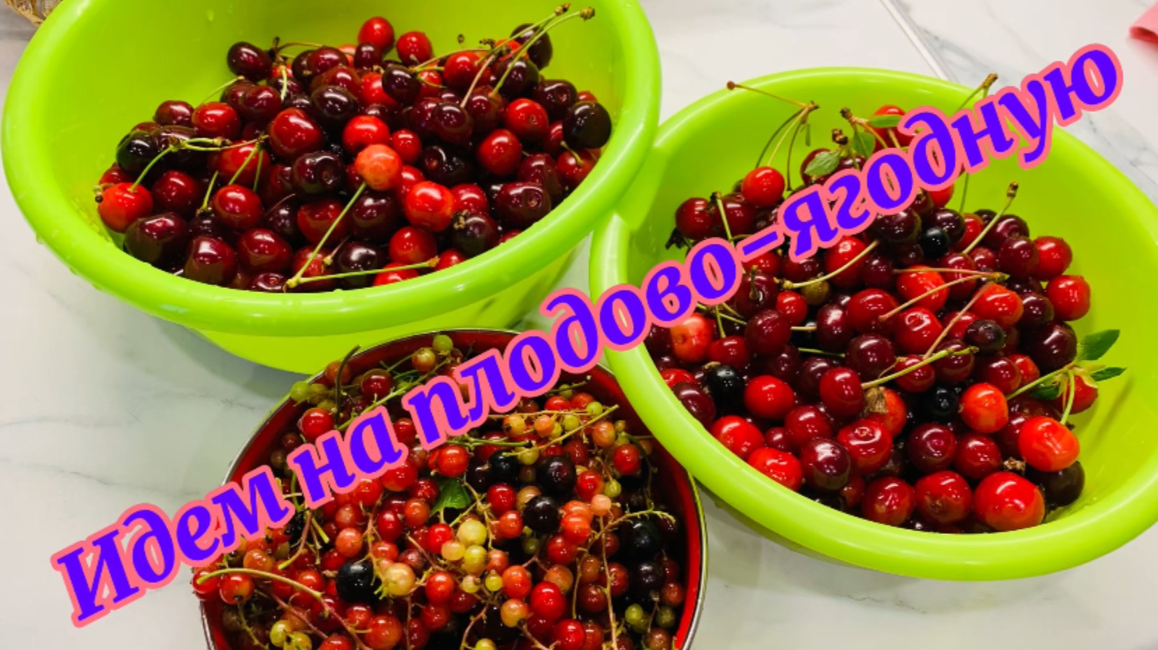 Идем на плодово ягодную за клубникой🍓