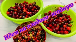 Идем на плодово ягодную за клубникой🍓