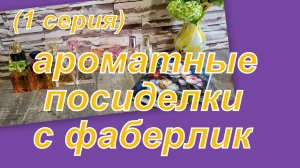 ПЕРЕПИСЬ АРОМАТНОГО НАСЕЛЕНИЯ ФАБЕРЛИК (1 серия)
