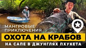 Путешествие на сапе по мангровым джунглям на Пхукете в Тае. Было и страшно, и красиво, и с добычей!