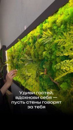 Панно из стабилизированных растений с подсветкой для домашнего интерьера