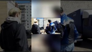 Агрессия на других собак