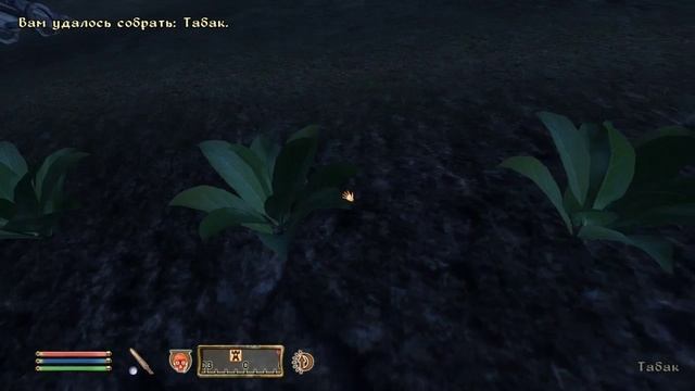 The Elder Scrolls IV (МС) часть 19