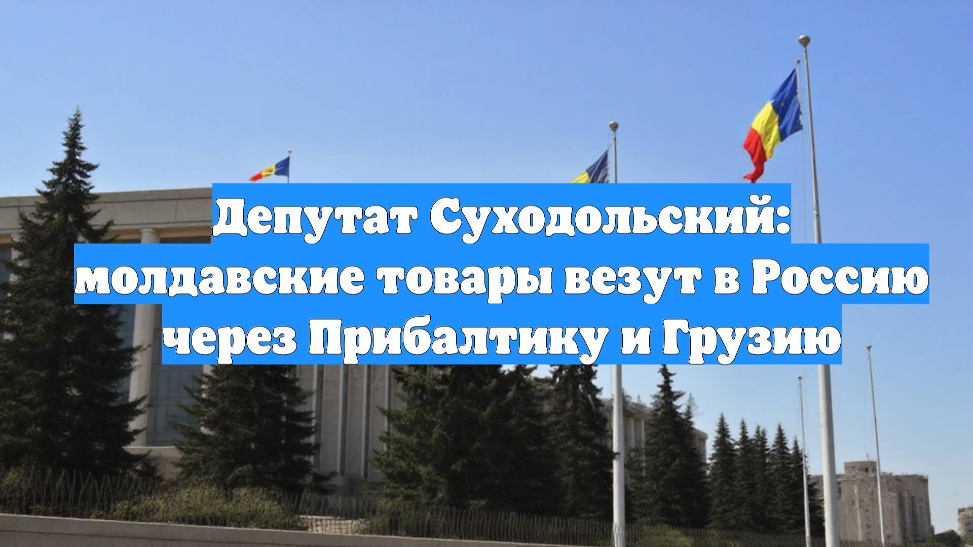 Депутат Суходольский: молдавские товары везут в Россию через Прибалтику и Грузию