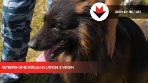 От тренировки до задержания: один день кинолога УФСИН