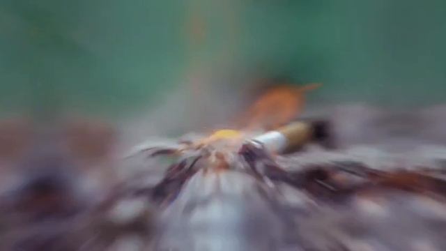 МЧС предупреждает: