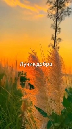 Александр Тремаскин - Фея.
Премьера: 2 июля!