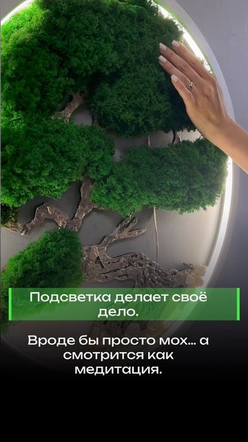 Дерево из стабилизированного мха с подсветкой. Диаметр 70 см