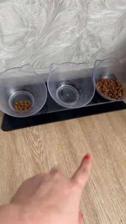🐯ЭКСПЕРИМЕНТ С НОВЫМ СУХИМ КОРМОМ ДЛЯ ЧЕССИ