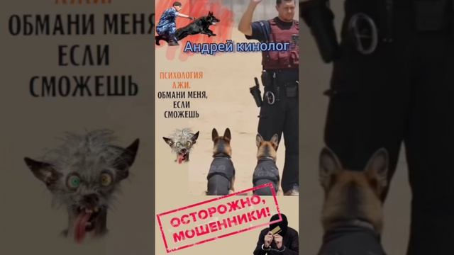 Хоббиты и инвестиции кольца !