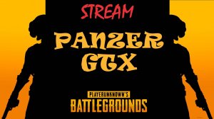 PUBG cо стримером Nikitos-Men(ом) в центр круга 2