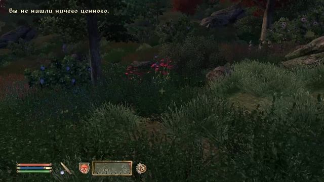 The Elder Scrolls IV (МС) часть 16