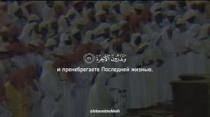 Сура аль Кийама Воскресение || Шейх Али Джабир .mp4