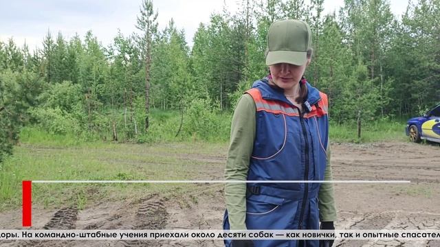 Кинологические расчёты на командно-штабных учениях поисково-спасательного отряда «ЛизаАлерт»