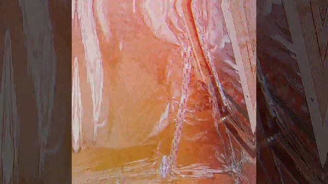 1000026966.mp4 (Собака смотрит на монтаж э/проводки на кухне в доме А-фрейм)