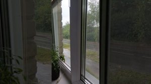 ливень