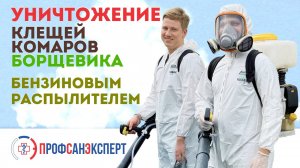 Уничтожение клещей, комаров и борщевика бензиновым распылителем