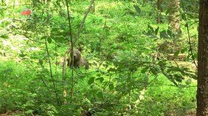 МЫ СНОВА НА СВЯЗИ после вынужденного перерыва из-за поломки интернета