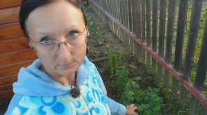 Видео привет с 6 соток 18 июня 2025 года.