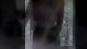 Chuck Persons Nobody Here Literal Video [get-save.com]