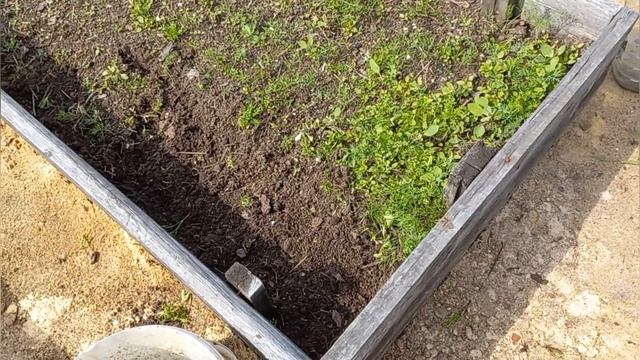 15/6 25 СХВАТИЛА ОТ ЖАДНОСТИ.НА МОЮ НЕ НАСТУПИ. ЗОЛОТО МАКЕННЫ. НЕ ГОВОРИ МНЕ ПРО РАМЫ. УЕХАЛИ ДОМОЙ