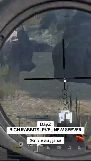 DayZ. Данж Корабль на сервере RICH RABBITS [PVE] NEW SERVER