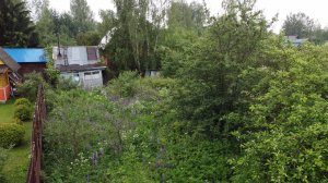 Купить дачу, участок в Ногинском районе снт "Ивушка"