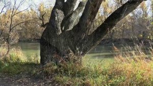 Краски осени 20