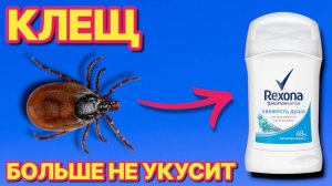 САМОЕ ЛУЧШЕЕ СРЕДСТВО ОТ КЛЕЩЕЙ