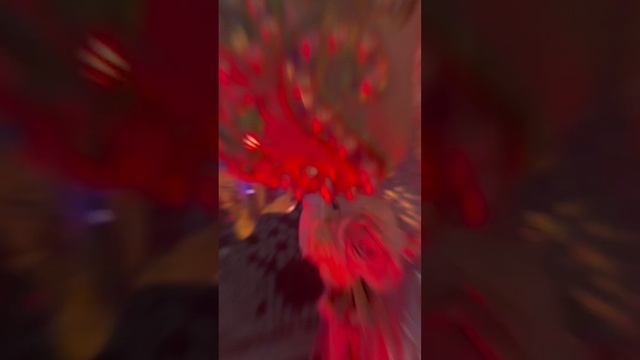 Шоу мыльных пузырей