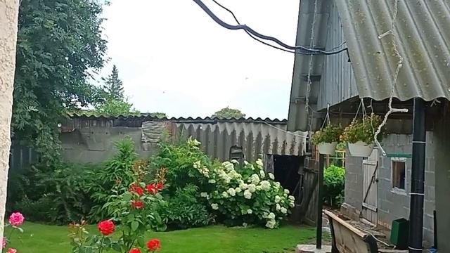 20.06.2025г.ПЕРЕЖИДАЮ ПОКА ПРОЙДЕТ ДОЖДЬ,СЕЛА В БЕСЕДКЕ ПЕРЕКУСИТЬ// ОБЫЧНАЯ ЖИЗНЬ В СЕЛЕ!🏡🐓