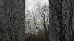 4246465c-1056-4b03-b96e-8414d88e5d2f-watermark.mp4 Елена Дружиненко Воркута