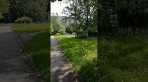VID_20250620_100207