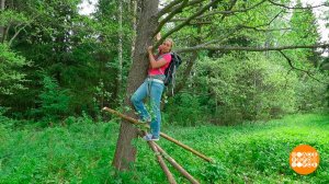 Осман Делибаш на дерево залезет! Доброе утро. Фрагмент выпуска от 20.06.2025