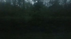 Прибытие на станцию Выселки