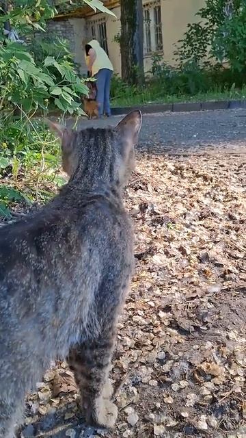 Я поделилась с миром тем, как нашла свою белую полосу)https://dzen.ru/a/aCqgzrsrPTc3LjiH #cat