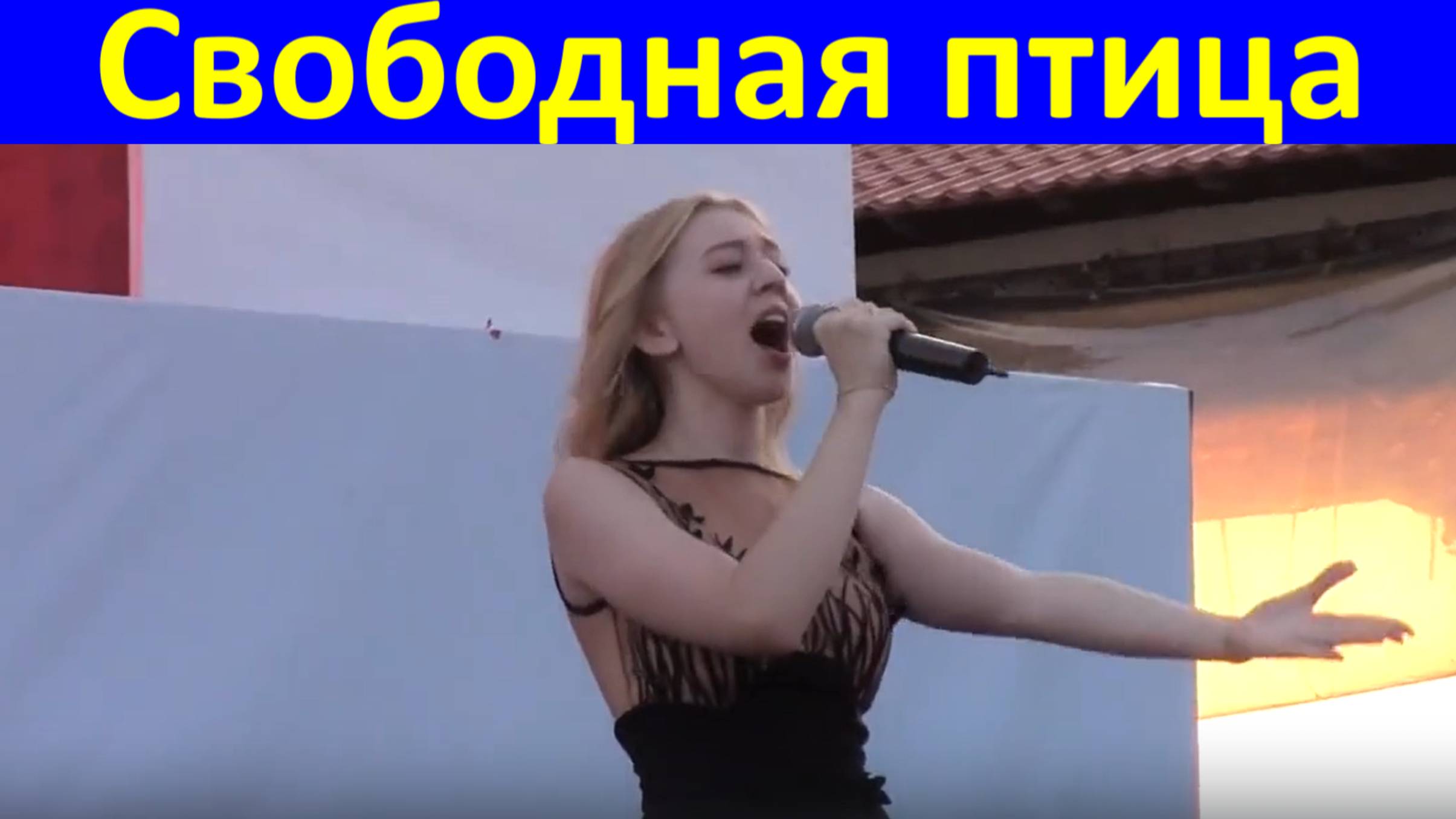 Песня Свободная птица Лучшие русские песни для души