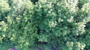 участок в Железноводске