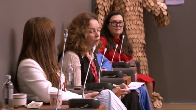 Крылья Арктики на ПМЭФ_2025