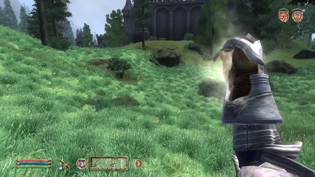 The Elder Scrolls IV (МС) часть 28