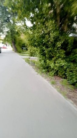 spyck