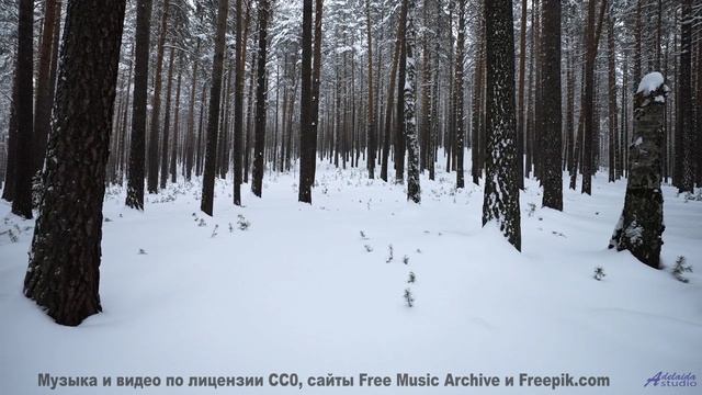 Поляны, леса и небо сливаются в один танец звуков - Man Outta Town-Instrumental -- Forget the Whale