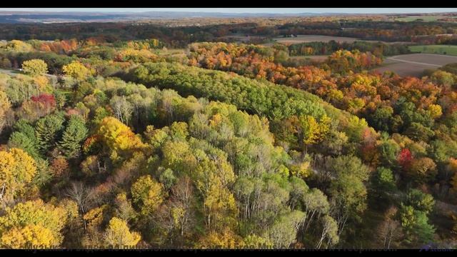 Видео, которое можно понять только с чипом в мозге - или можно - A New Fate -- Derek Clegg -- Old To
