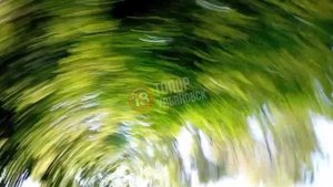 😡 «Какие-то дети были замечены в хулиганстве, взрывают то ли петарды, то ли еще что-то на Кольцевой