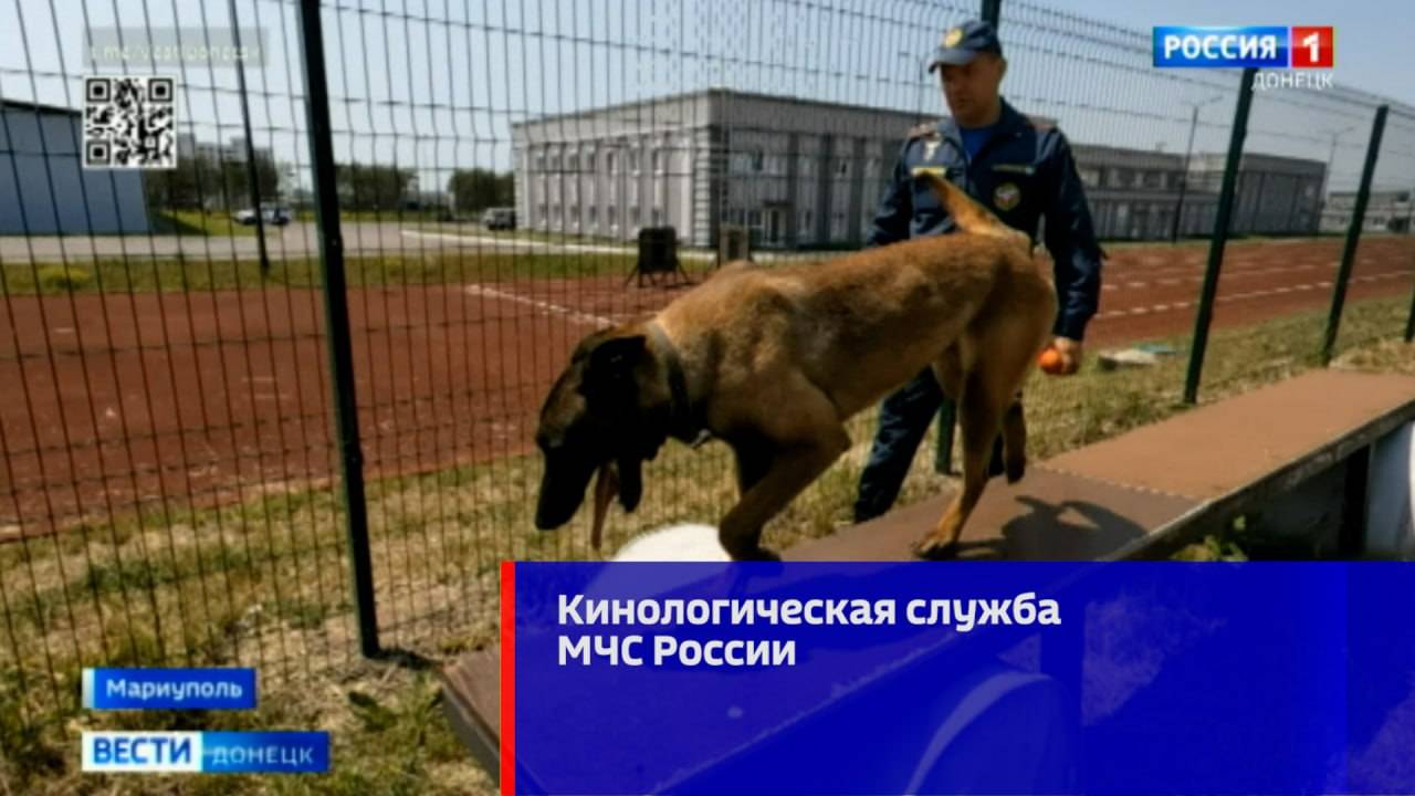 20 июня исполняется 29 лет со дня создания кинологической службы МЧС России