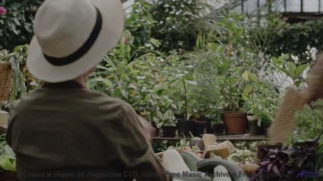 Музыка, синхронизирующая ваши мозговые волны - научный прорыв! - Marigold -- Evan Schaeffer -- After