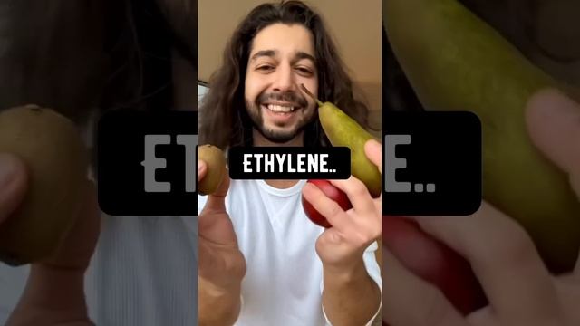 Stop Wasting Money on Groceries! Store your fruits and veggies the right way! creative explained