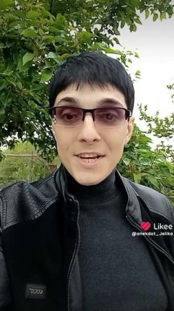 петушиные бега